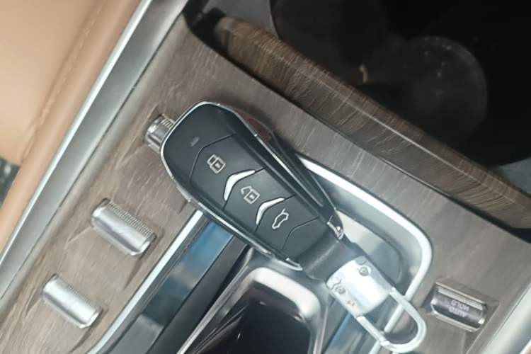 Used Landian E5 2024 Honor Edition 100KM Premium Model 7 Seats Vehicle Key