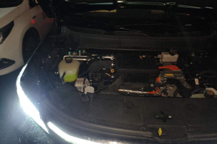 Used Landian E5 PLUS 2025 165 km Long-Range Version PLUS 7-Seater Engine Bay Right