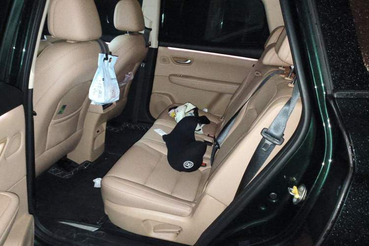 Used Landian E5 PLUS 2025 165 km Long-Range Version PLUS 7-Seater Left Rear Seat