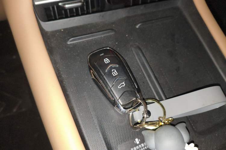 Used Landian E5 PLUS 2025 165 km Long-Range Version PLUS 7-Seater Vehicle Key