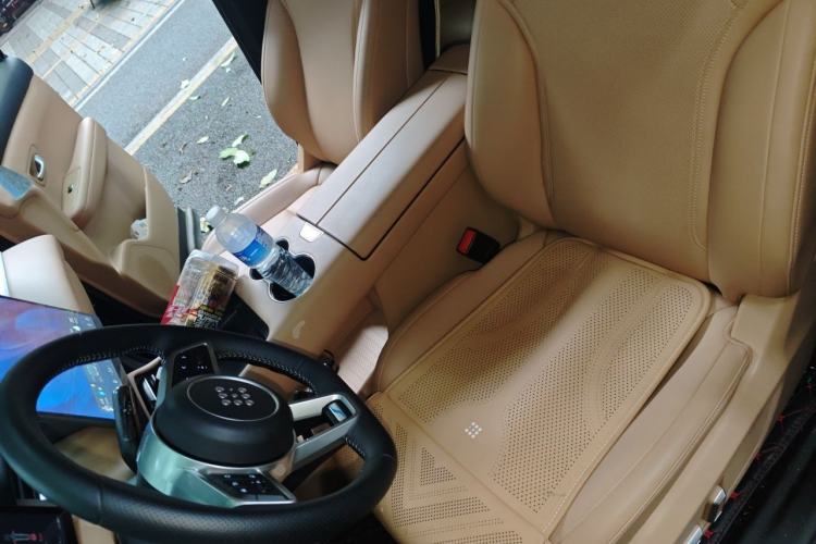 Used Landian E5 PLUS 2025 165 km Long-Range Version PLUS 7-Seater Left Front Seat