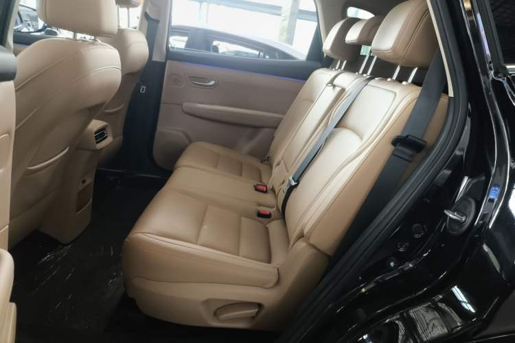 Used Landian E5 PLUS 2025 120km Standard Travel Custom Edition 7 Seats Left Rear Seat