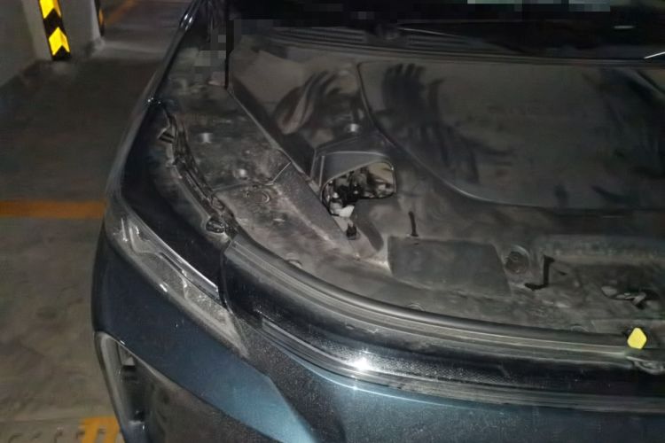 Used Landian E5 PLUS 2025 165 km Long-Range First Edition 7-Seater Engine Bay Right