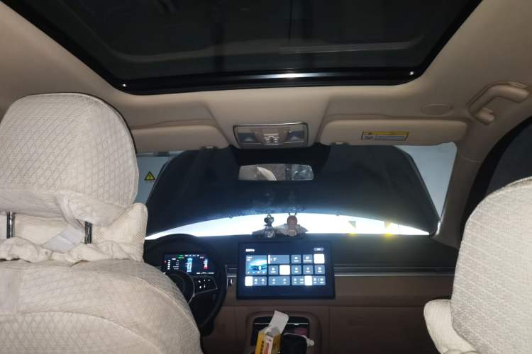 Used Landian E5 PLUS 2025 165 km Long-Range First Edition 7-Seater Headliner