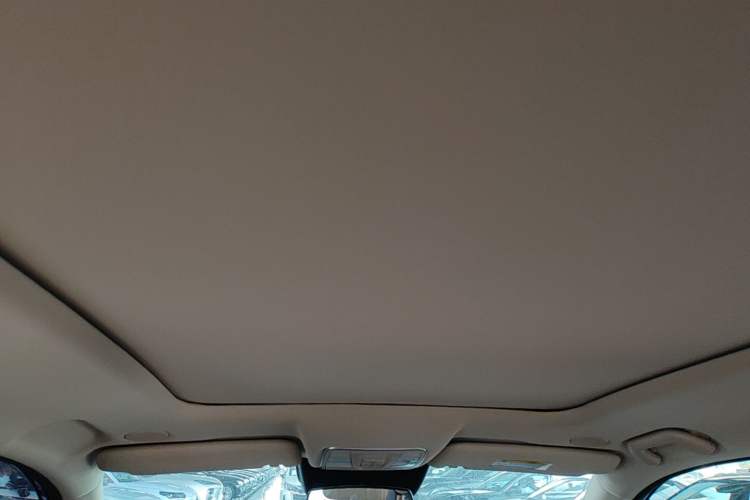 Used Landian E5 PLUS 2025 165 km Long-Range Version PLUS 5-Seater Headliner