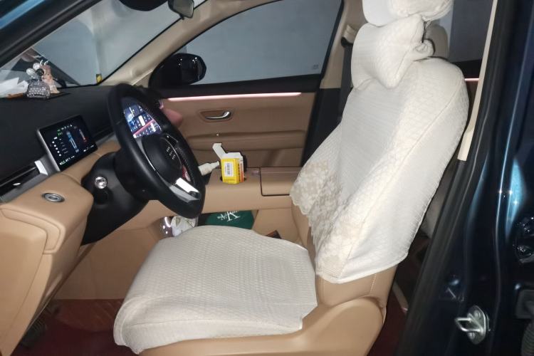 Used Landian E5 PLUS 2025 165 km Long-Range First Edition 7-Seater Left Front Seat
