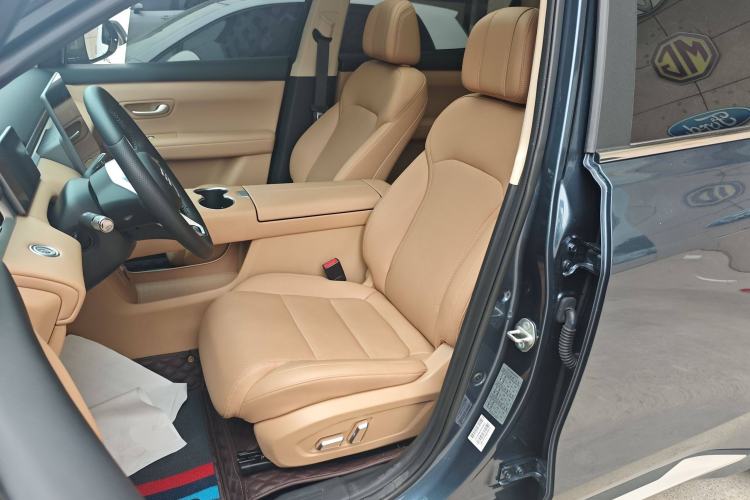 Used Landian E5 PLUS 2025 165 km Long-Range Version PLUS 5-Seater Left Front Seat