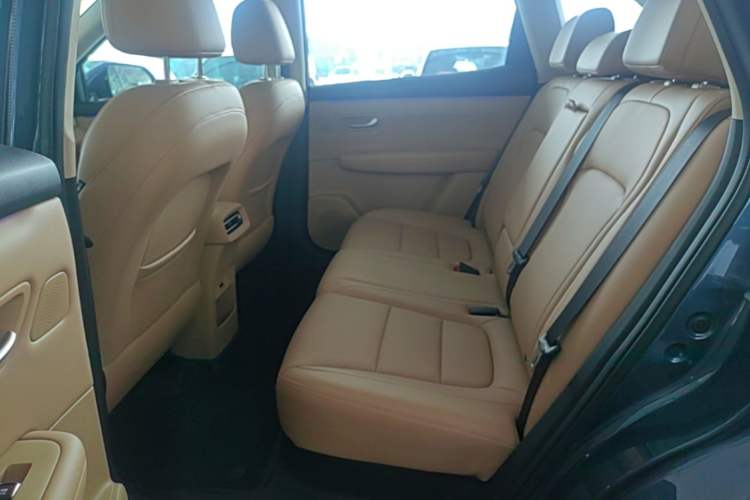 Used Landian E5 PLUS 2025 165 km Long-Range Version PLUS 5-Seater Left Rear Seat