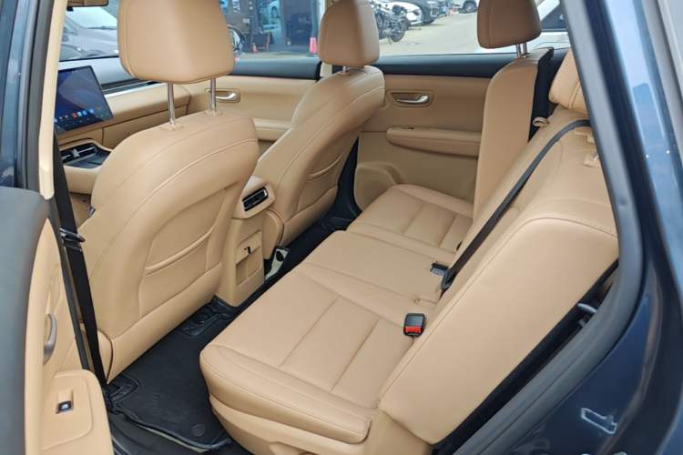Used Landian E5 PLUS 2025 165 km Long-Range Travel Custom Edition 7 Seats Left Rear Seat