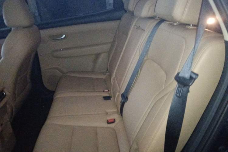 Used Landian E5 PLUS 2025 165 km Long-Range Version 7 Seats Left Rear Seat