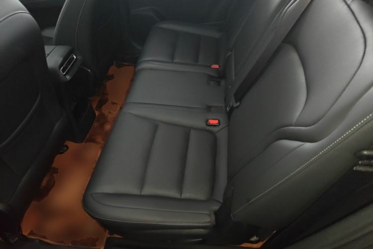 Used Landian E5 PLUS 2025 165 km Long-Range Version PLUS 7-Seater Left Rear Seat