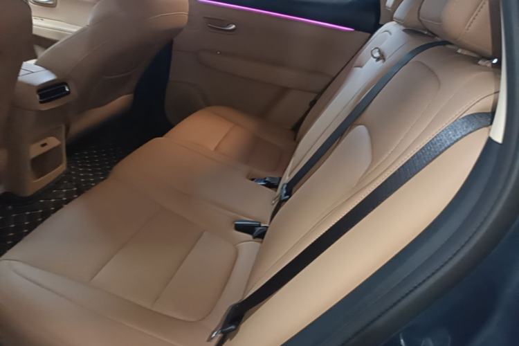 Used Landian E5 PLUS 2025 165 km Long-Range Version PLUS 5-Seater Left Rear Seat