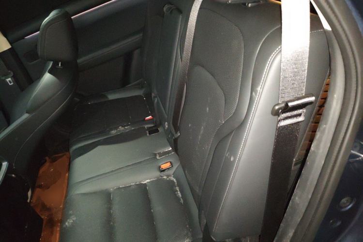 Used Landian E5 PLUS 2025 165 km Long-Range Version PLUS 7-Seater Left Rear Seat