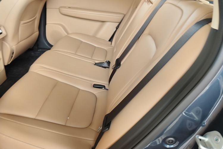 Used Landian E5 PLUS 2025 165 km Long-Range Version PLUS 5-Seater Left Rear Seat