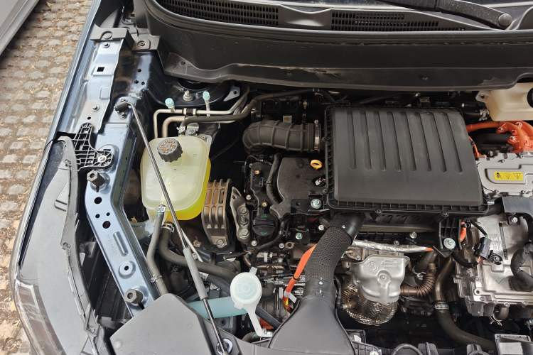 Used Landian E5 PLUS 2025 165 km Long-Range Version PLUS 5-Seater Engine Bay Right
