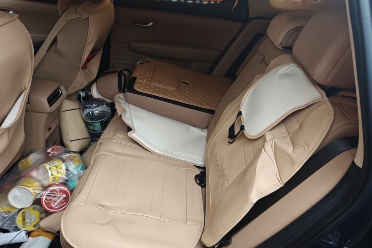Used Landian E5 PLUS 2025 165 km Long-Range Version PLUS 5-Seater Left Rear Seat