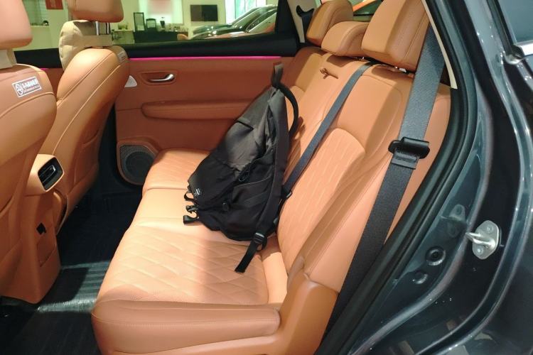 Used Landian E5 PLUS 2025 165 km Long-Range Version PLUS 7-Seater Left Rear Seat