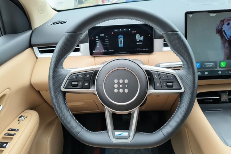 Used Landian E5 PLUS 2025 165 km Long-Range Travel & Comfort Edition 7 Seats Steering Wheel