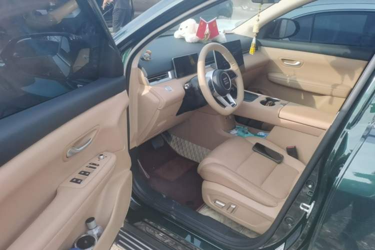 Used Landian E5 PLUS 2025 165 km Long-Range Pro Version with 5 Seats Driver Seat