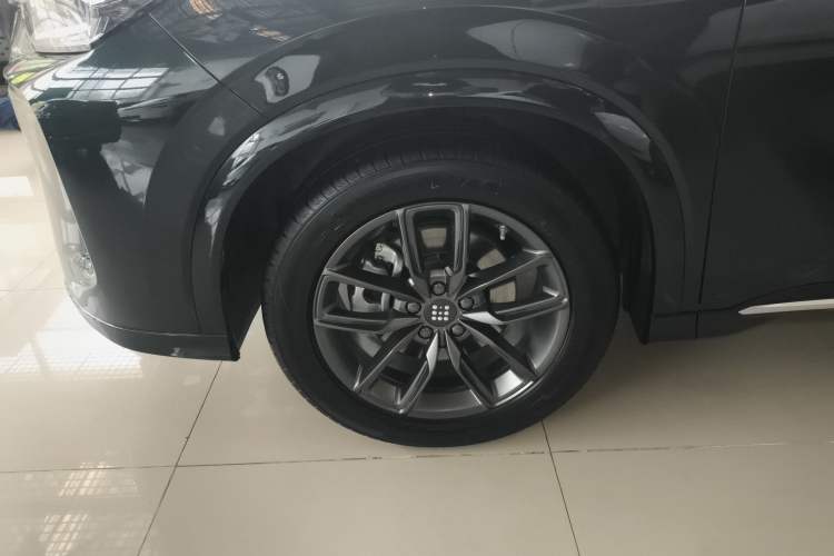 Used Landian E5 PLUS 2025 120km Standard Travel Custom Edition 5 Seats Exterior 7