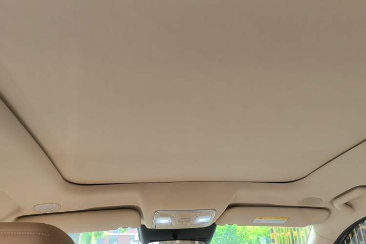 Used Landian E5 PLUS 2025 165 km Long-Range Version PLUS 7-Seater Headliner