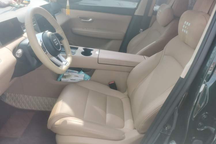 Used Landian E5 PLUS 2025 165 km Long-Range Pro Version with 5 Seats Left Front Seat