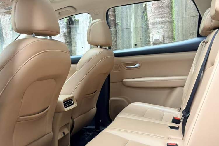 Used Landian E5 PLUS 2025 120km Standard Travel Custom Edition 7 Seats Left Rear Seat