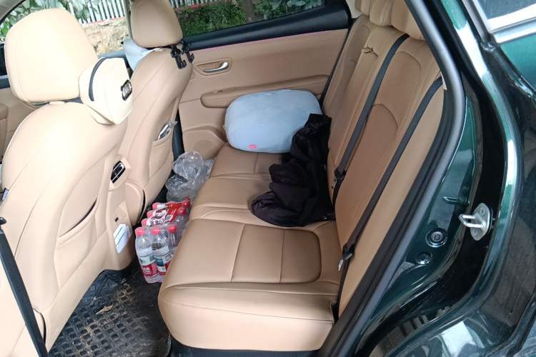 Used Landian E5 PLUS 2025 165 km Long-Range Version PLUS 5-Seater Left Rear Seat