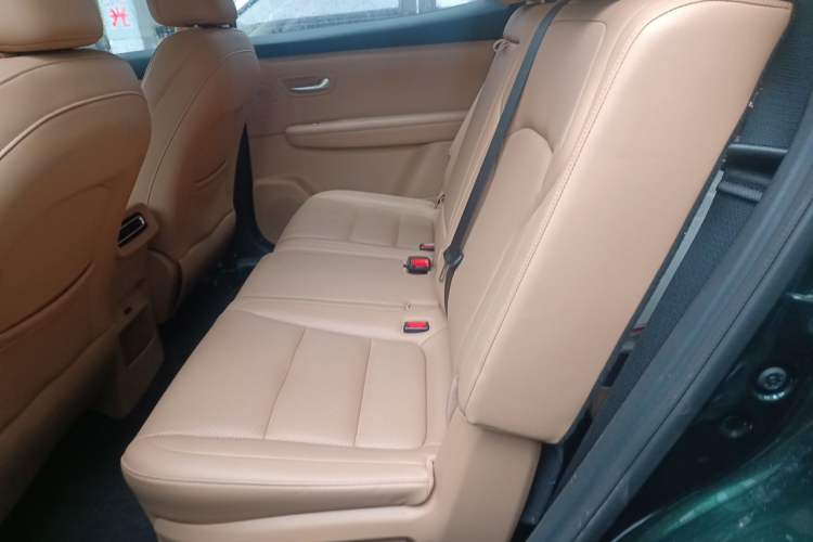 Used Landian E5 PLUS 2025 120km Standard Travel Custom Edition 7 Seats Left Rear Seat