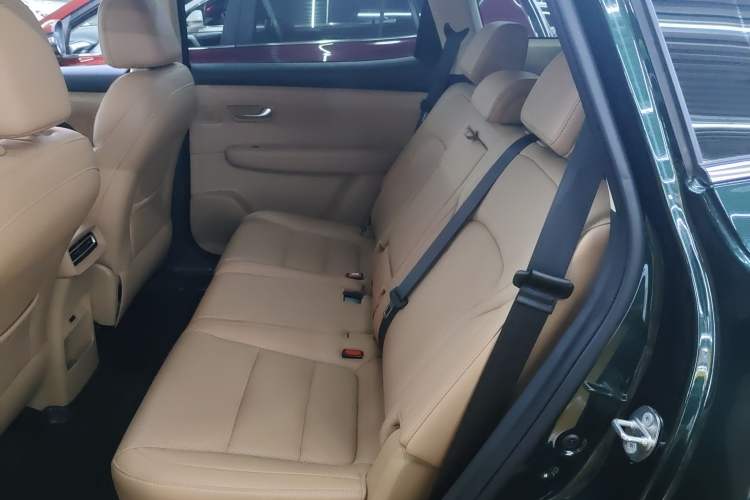 Used Landian E5 PLUS 2025 165 km Long-Range Version 7 Seats Left Rear Seat