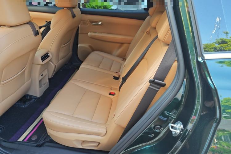 Used Landian E5 PLUS 2025 165 km Long-Range Travel & Comfort Edition 7 Seats Left Rear Seat