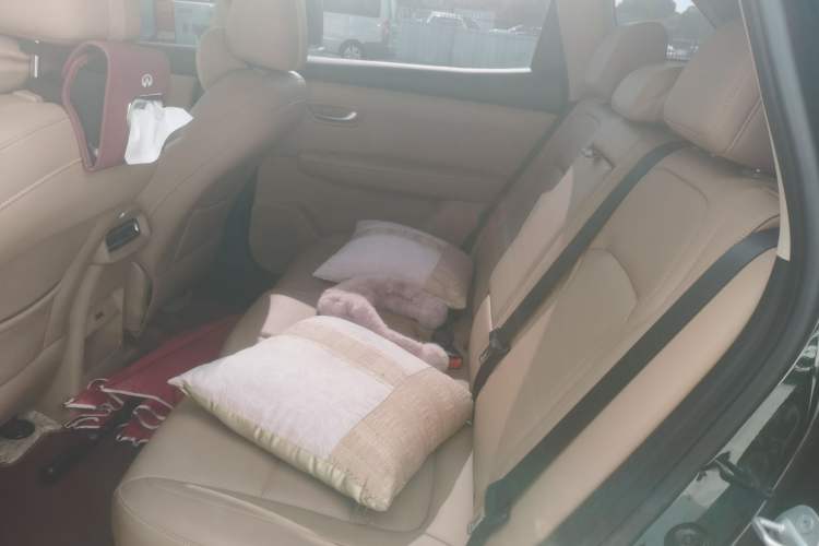 Used Landian E5 PLUS 2025 165 km Long-Range Pro Version with 5 Seats Left Rear Seat