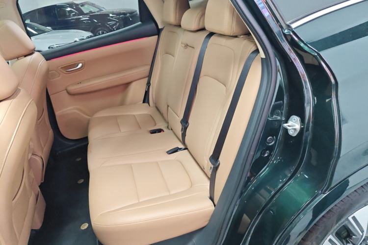 Used Landian E5 PLUS 2025 165 km Long-Range Version PLUS 5-Seater Left Rear Seat