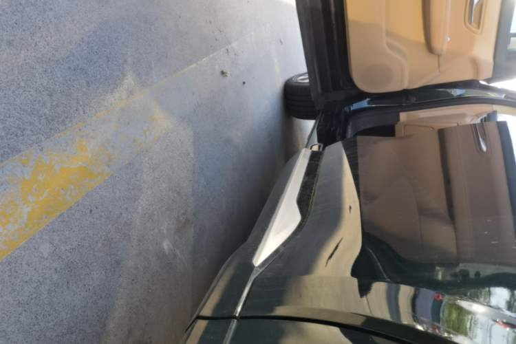 Used Landian E5 PLUS 2025 165 km Long-Range Version PLUS 7-Seater Left Side Sill