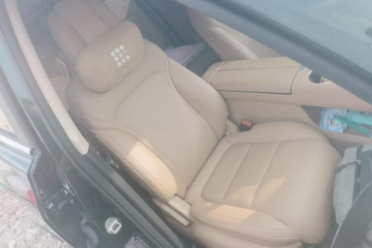 Used Landian E5 PLUS 2025 165 km Long-Range Pro Version with 5 Seats Right Front Seat