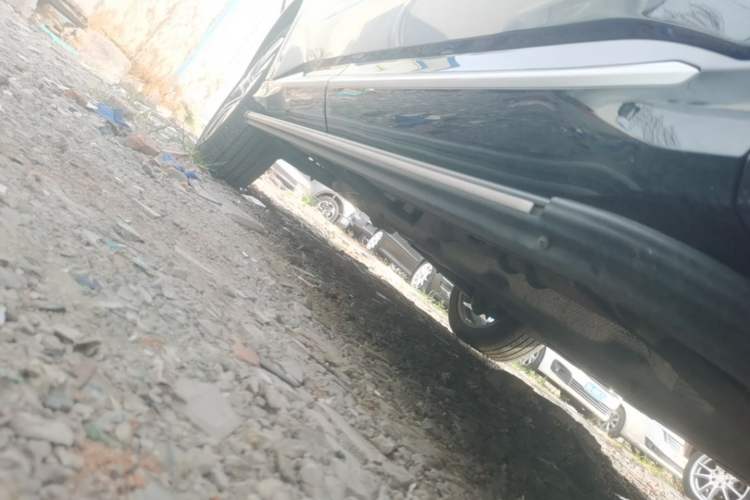 Used Landian E5 PLUS 2025 165 km Long-Range Pro Version with 5 Seats Right Side Sill