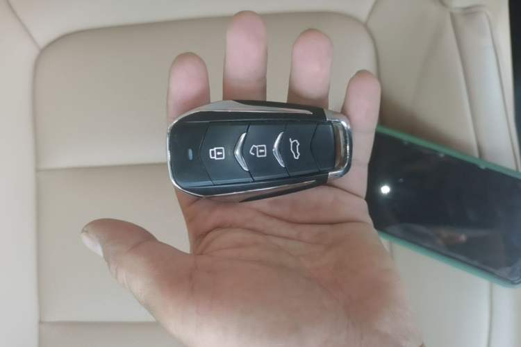 Used Landian E5 PLUS 2025 165 km Long-Range Pro Version with 5 Seats Vehicle Key