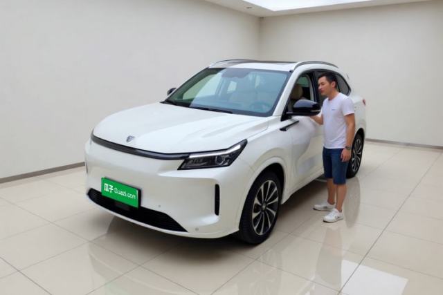 Used Landian E5 PLUS 2025 165 km Long-Range Version PLUS 7-Seater