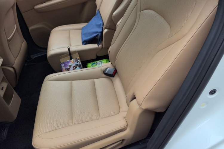 Used Landian E5 PLUS 2025 165 km Long-Range Version PLUS 7-Seater Left Rear Seat