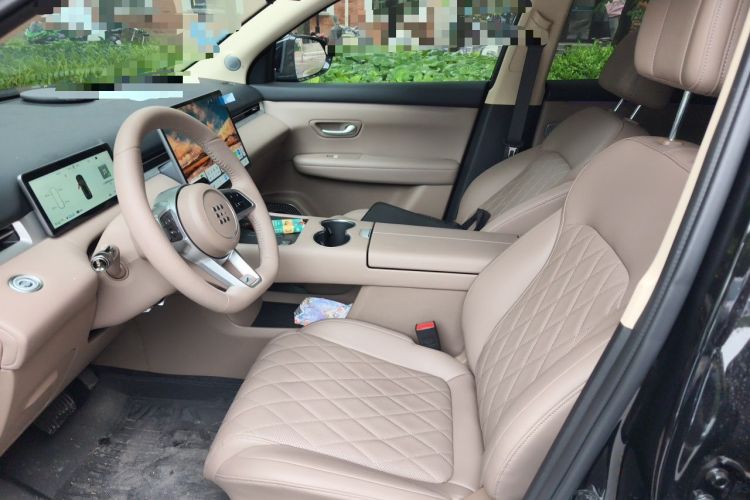Used Landian E5 PLUS 2026 Model 230km Ultra-Long-Range Version Ultra 5-seater Left Front Seat