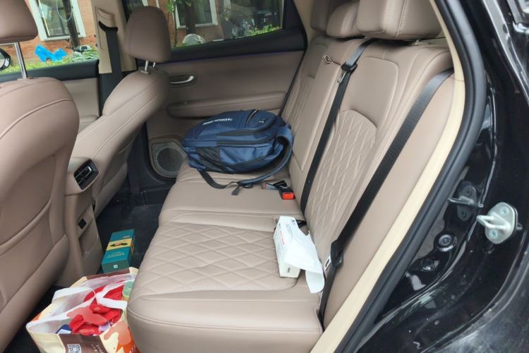 Used Landian E5 PLUS 2026 Model 230km Ultra-Long-Range Version Ultra 5-seater Left Rear Seat