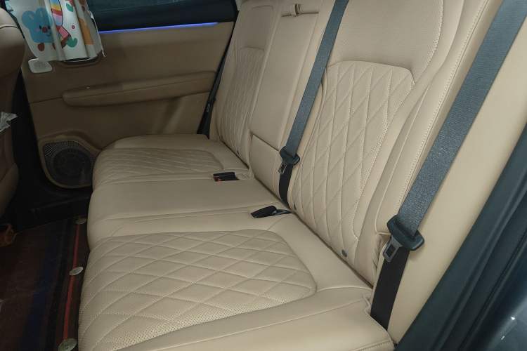Used Landian E5 PLUS 2026 Model 165km Long-Range Travel Flagship Version 5-seater Left Rear Seat