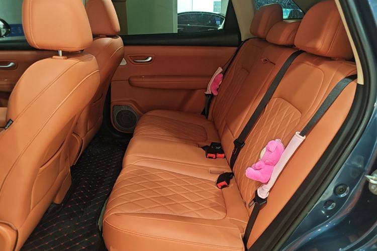 Used Landian E5 PLUS 2026 Model 230km Ultra-Long-Range Version Ultra 5-seater Left Rear Seat