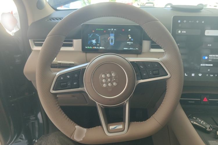 Used Landian E5 PLUS 2026 Model 230km Ultra-Long-Range Version Ultra 7-seater Steering Wheel