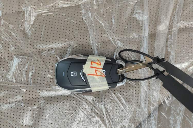 Used Landian E5 PLUS 2026 Model 230km Ultra-Long-Range Version Ultra 7-seater Vehicle Key