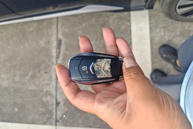 Used Landian E5 PLUS 2026 Model 165km Long-Range First-Adoption Version Ultra 7-seater Vehicle Key
