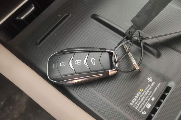 Used Landian E5 PLUS 2026 Model 230km Ultra-Long-Range Version Ultra 7-seater Vehicle Key