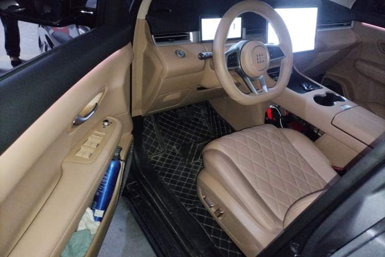 Used Landian E5 PLUS 2026 Model 165km Long-Range First-Adoption Version Ultra 5-seater Driver Seat