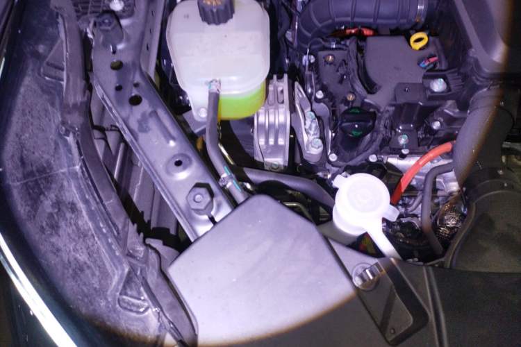 Used Landian E5 PLUS 2026 Model 165km Long-Range First-Adoption Version Ultra 5-seater Engine Bay Right