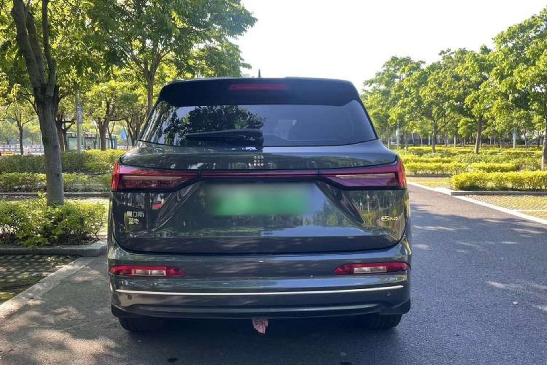 Used Landian E5 PLUS 2026 Model 165km Long-Range First-Adoption Version Ultra 7-seater Exterior 4